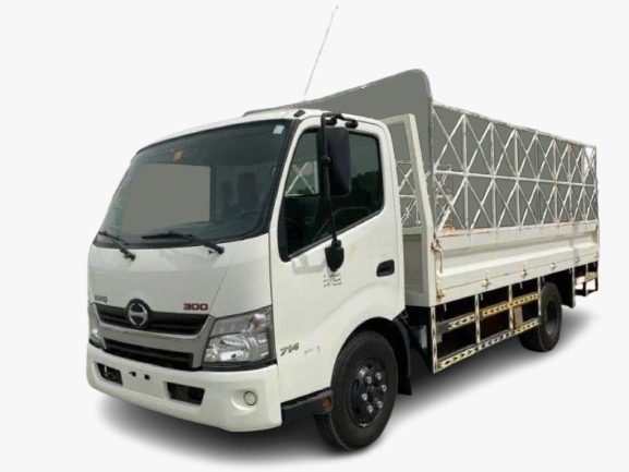 3 Ton Truck for Cargo